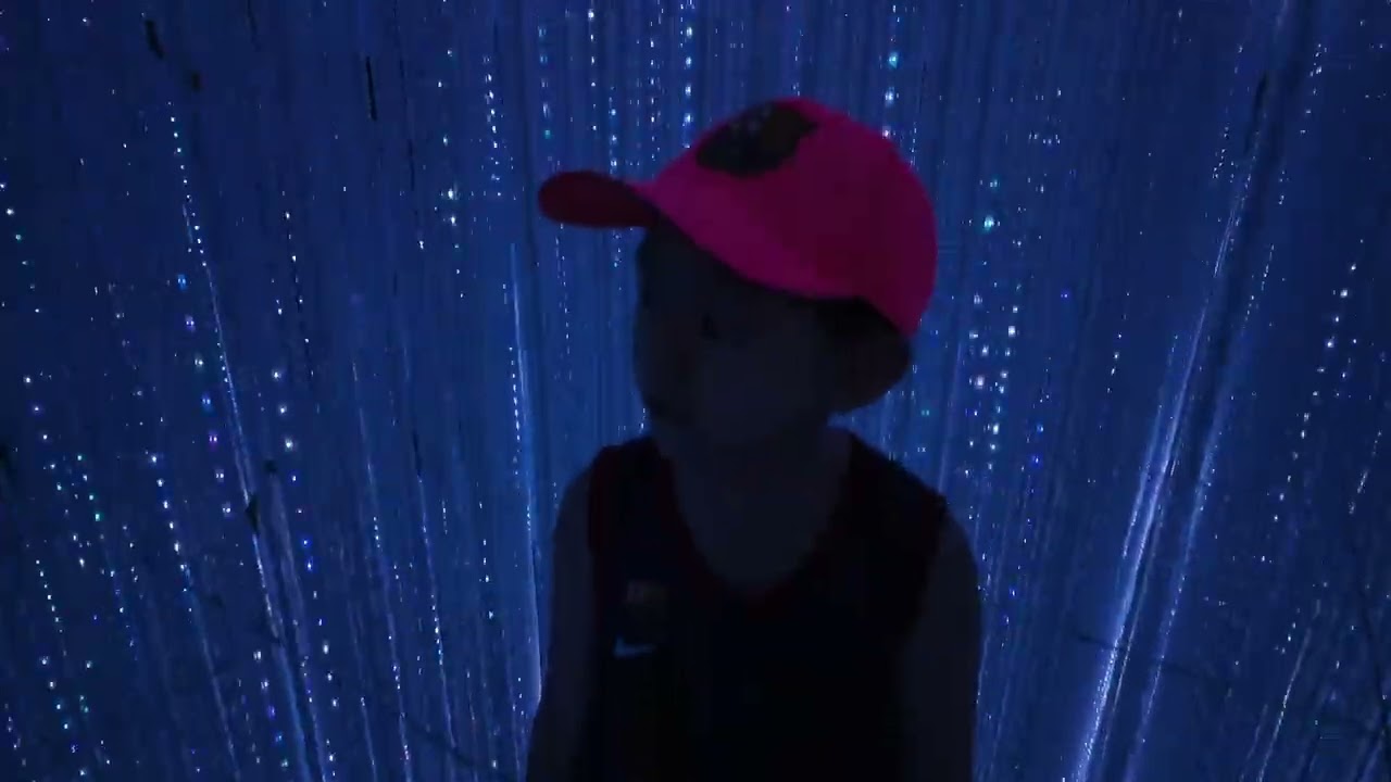 [Team Lab Boardless Tokyo] 