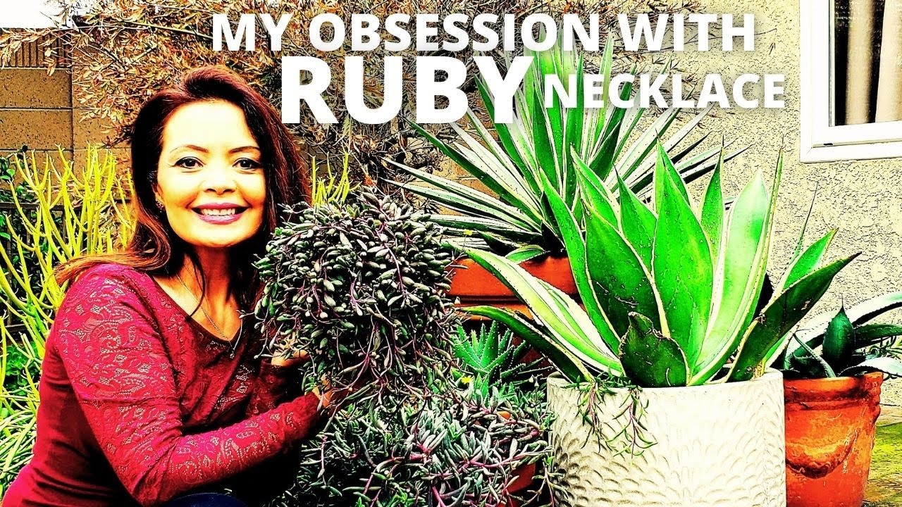 MY OBSESSION WITH RUBY NECKLACE