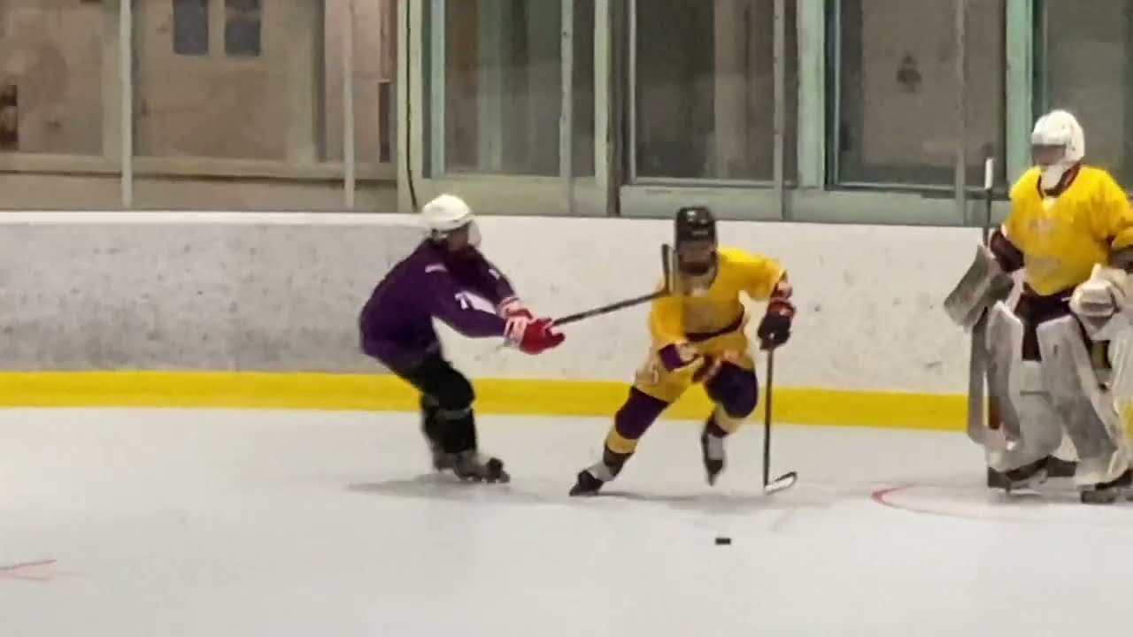 Purple Cobras def Connor Bedard, Kent Johnson and the Great Guys - NSIHLA Div 1 roller hockey