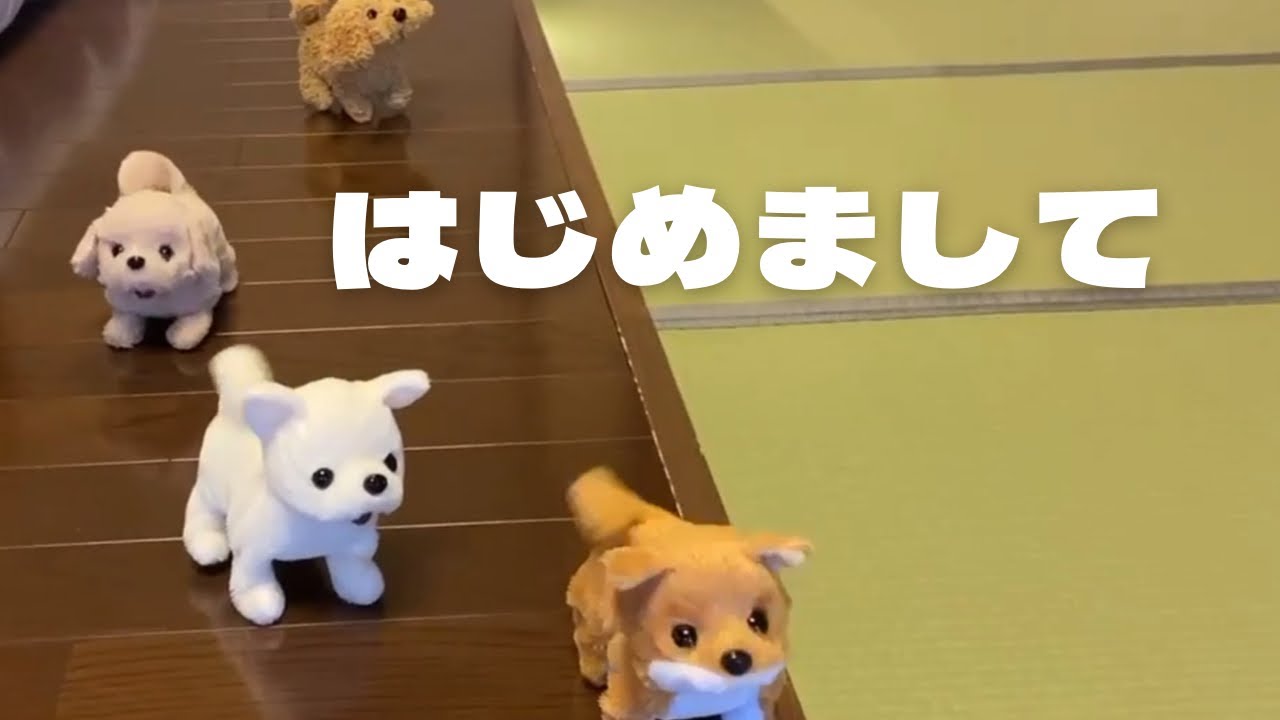 【動くおもちゃ犬】家族を紹介するよ【ワンワン】