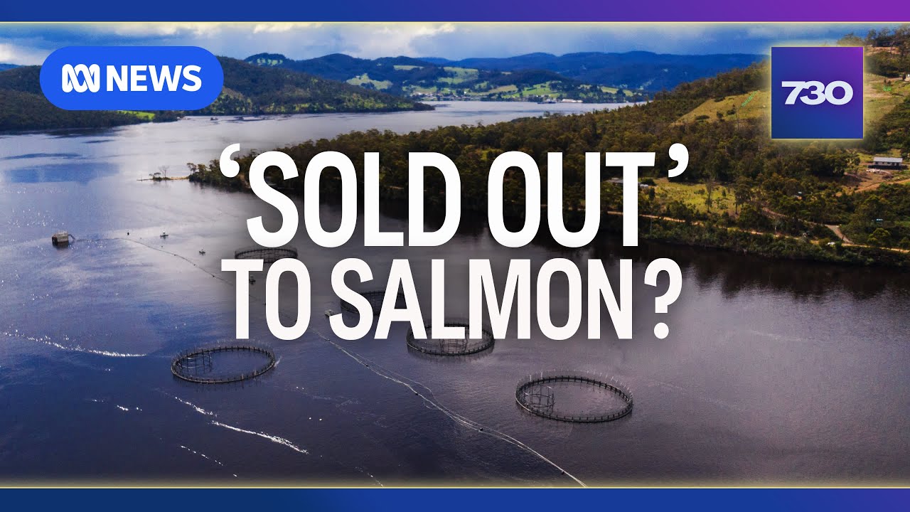 Why a senator brandished a dead salmon in the Senate | 7.30