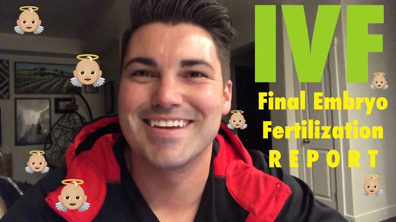 IVF Final 5 Day Embryo Fertilization Report