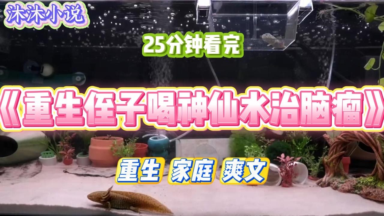 《重生侄子喝神仙水治脑瘤》小侄子检查出脑肿瘤。嫂子说有种偏方「神仙水」可以治疗。#小说 #小说推荐 #故事 #爽文 #大女主 #重生 #复仇