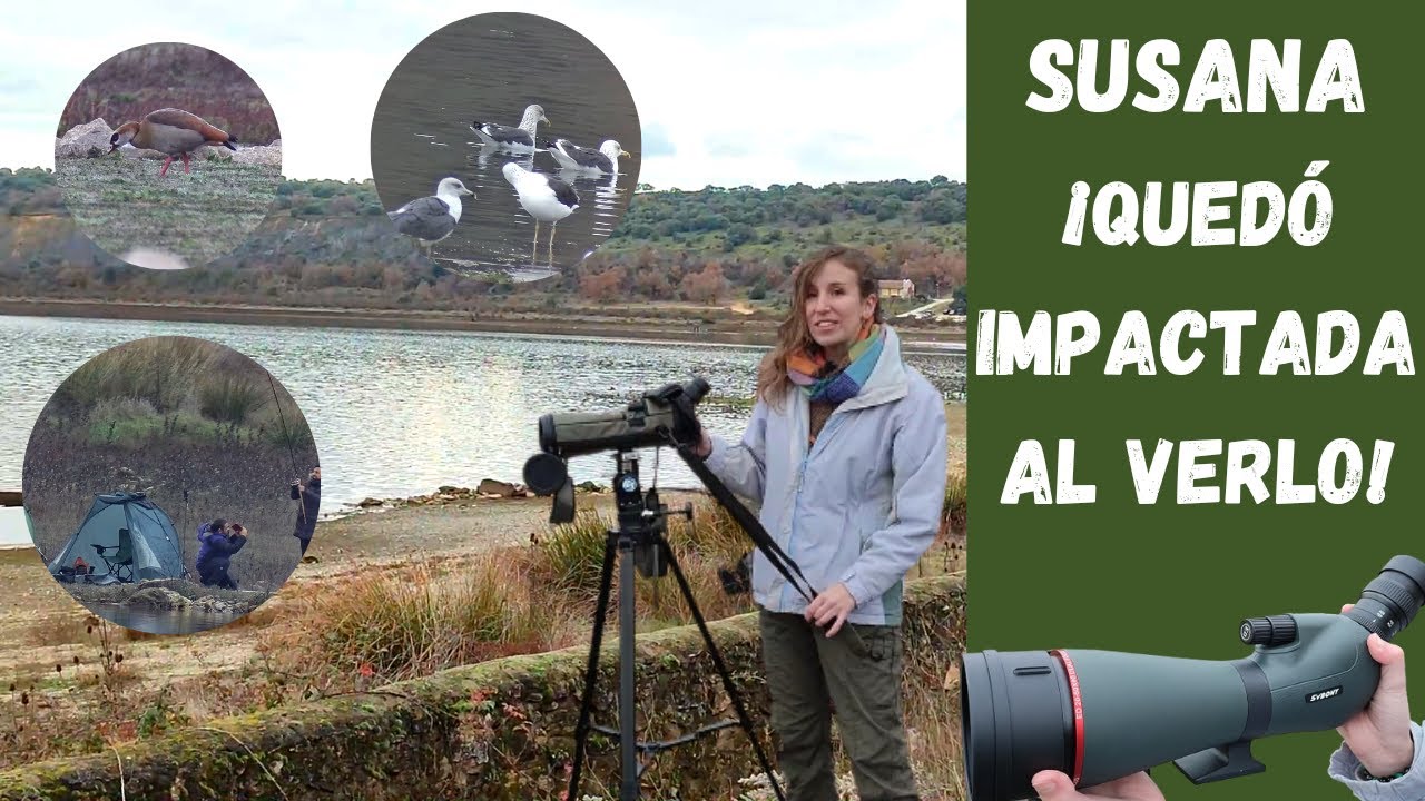 FLIPAMOS con el TELESCOPIO TERRESTRE SVBONY SV406P | Telescopio terrestre recomendado