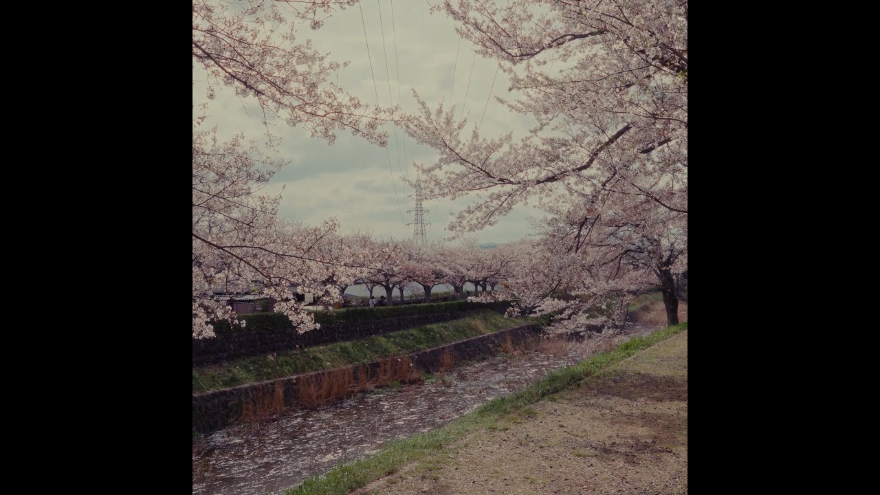 [FREE] Indie x Bedroom Pop Type Beat - 