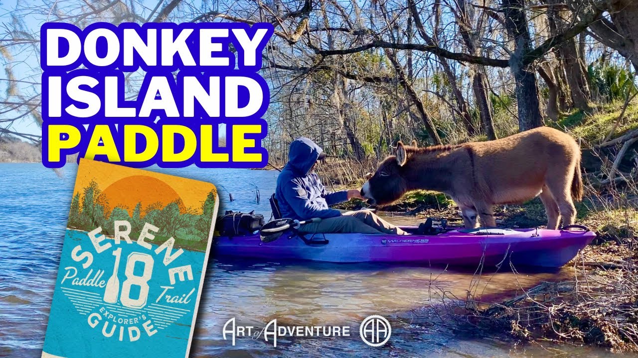 Paddle to Donkey Island, get passport stamp!