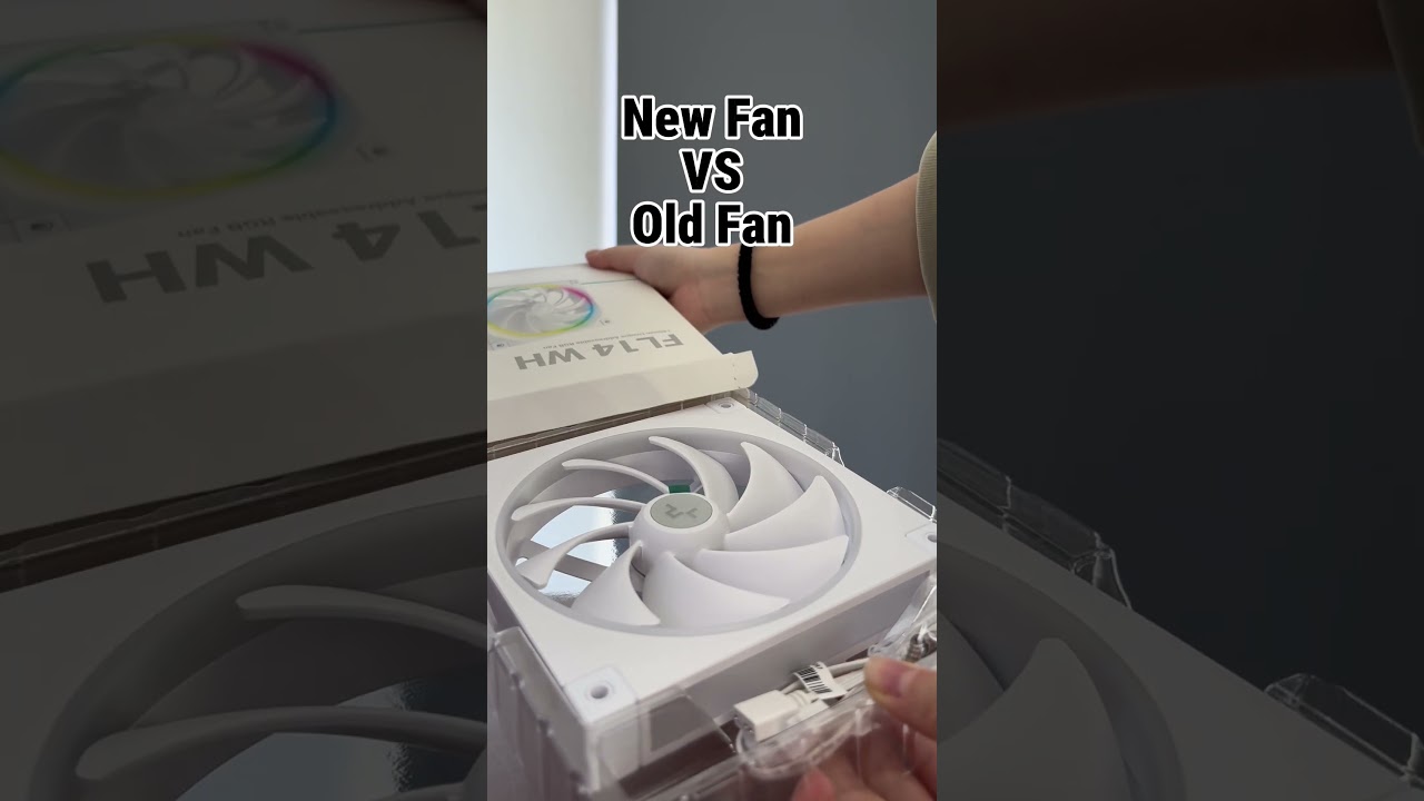 NEW FAN vs OLD FAN