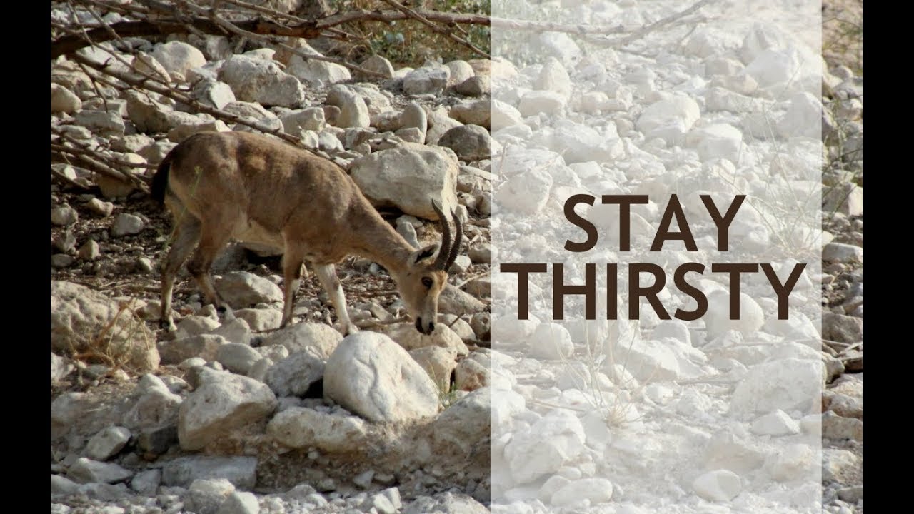 Stay Thirsty (Psalm 42:1-2)