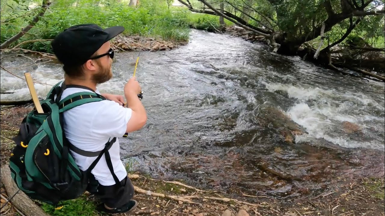 Fishing a Tiny Stream for Wild Trout in Colorado! (Feat. Midggonewild)