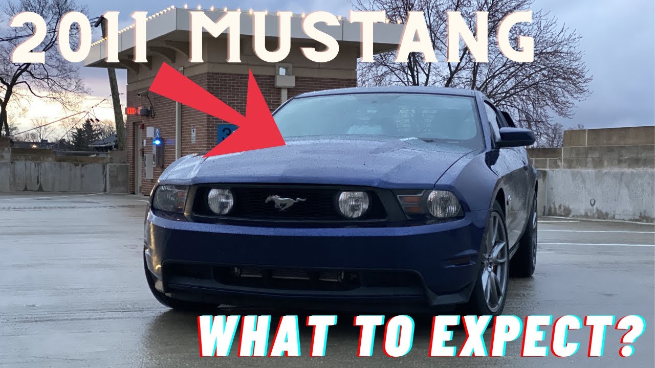 Что ожидать от владения Mustang 2011 года | Нагнетатель Roush