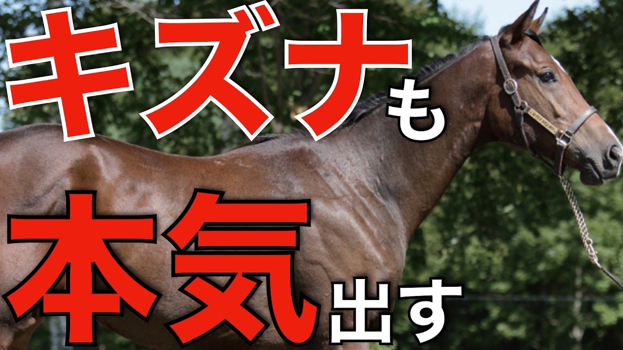 キタサンブラックに負けていられない！2年連続リーディング、キズナも本気出す。
