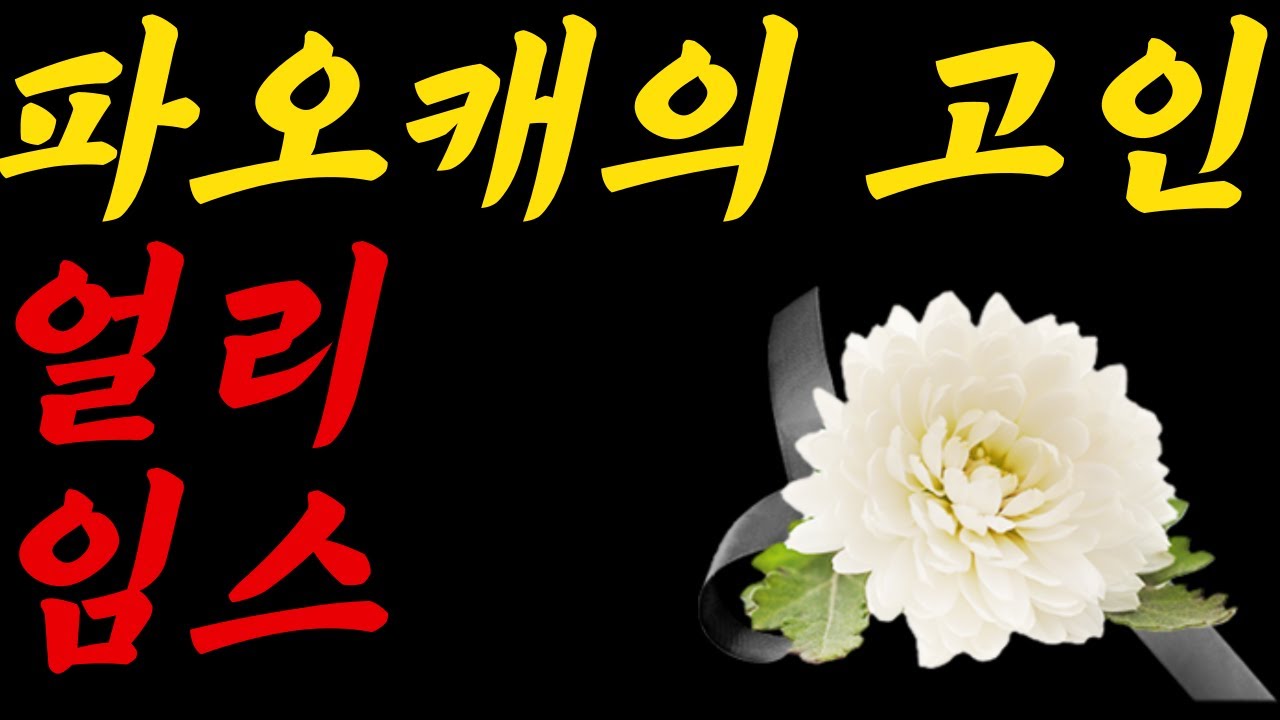 파오캐BJ였던 얼리와 임스가 접었습니다