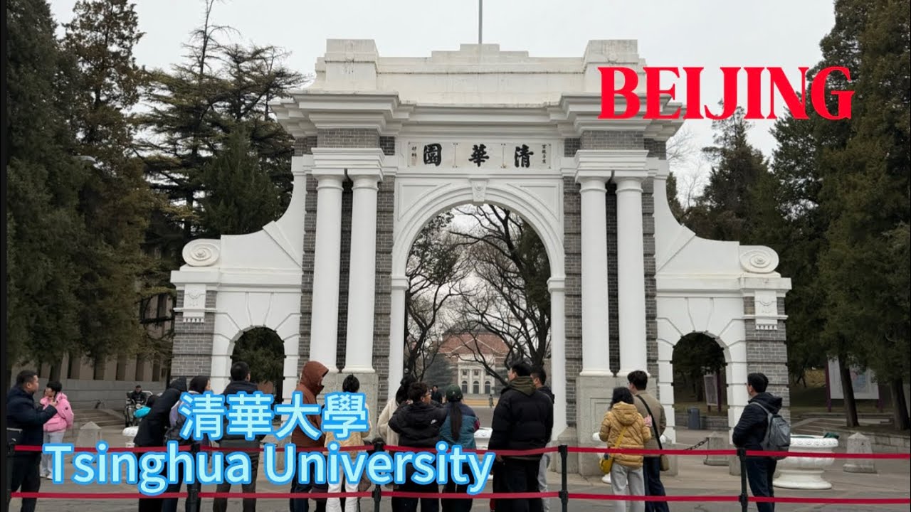 冬日里走在清華大學｜Walking  in Tsinghua University I Beautiful Campus |校園景觀｜Black Swans I 