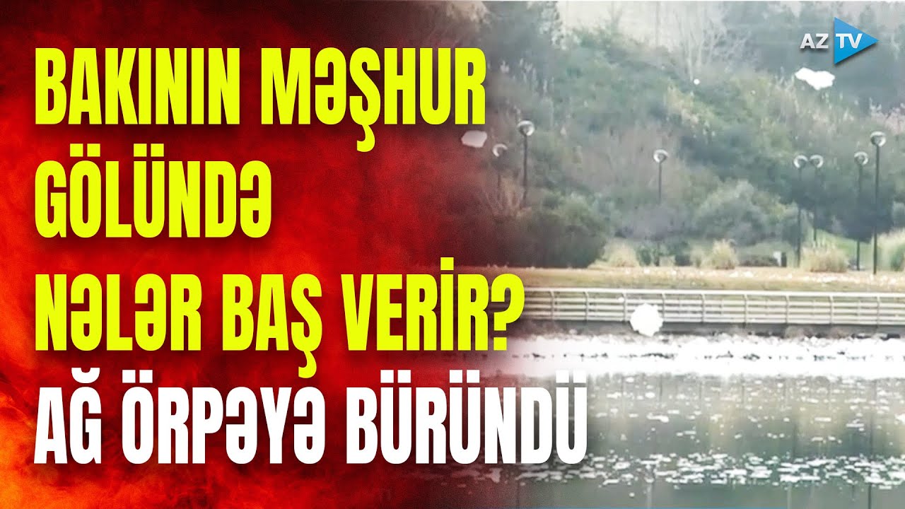 Bakının məşhur gölü ağ örpəyə güründü: ərazidə nələr baş verir? - GÖRÜNTÜLƏR