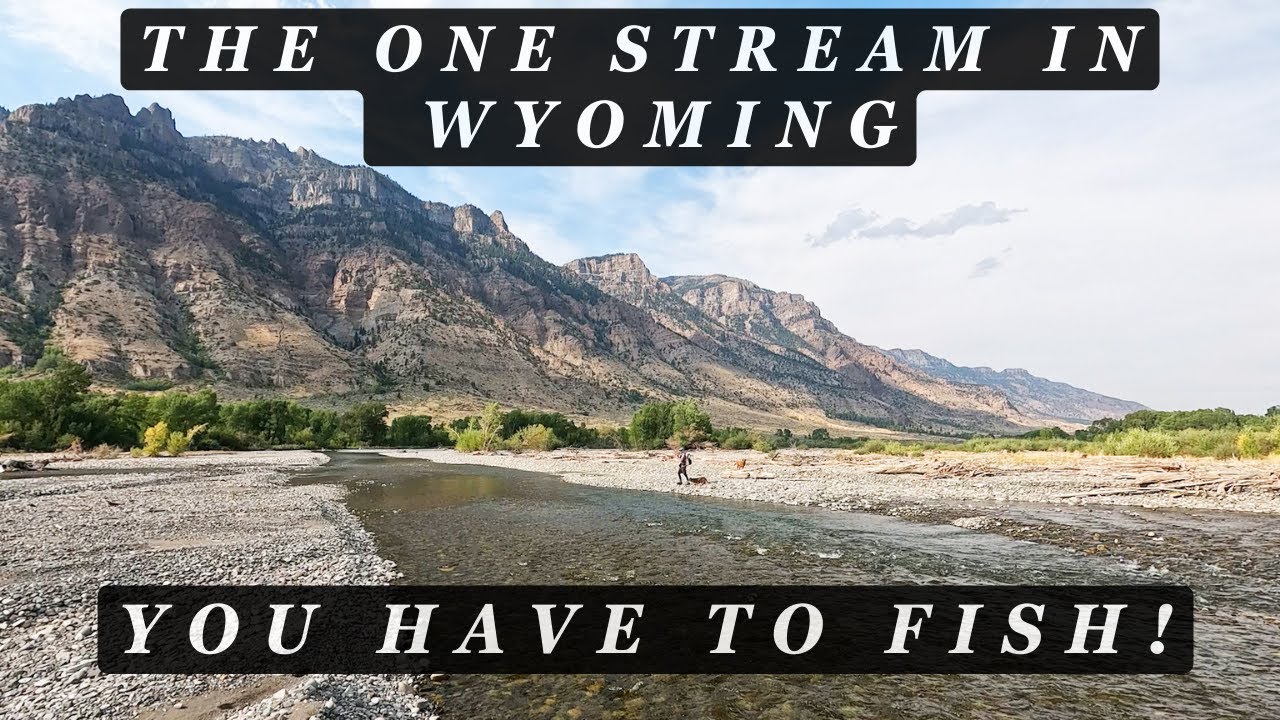 This is the ONE stream in WYOMING you have to fish!