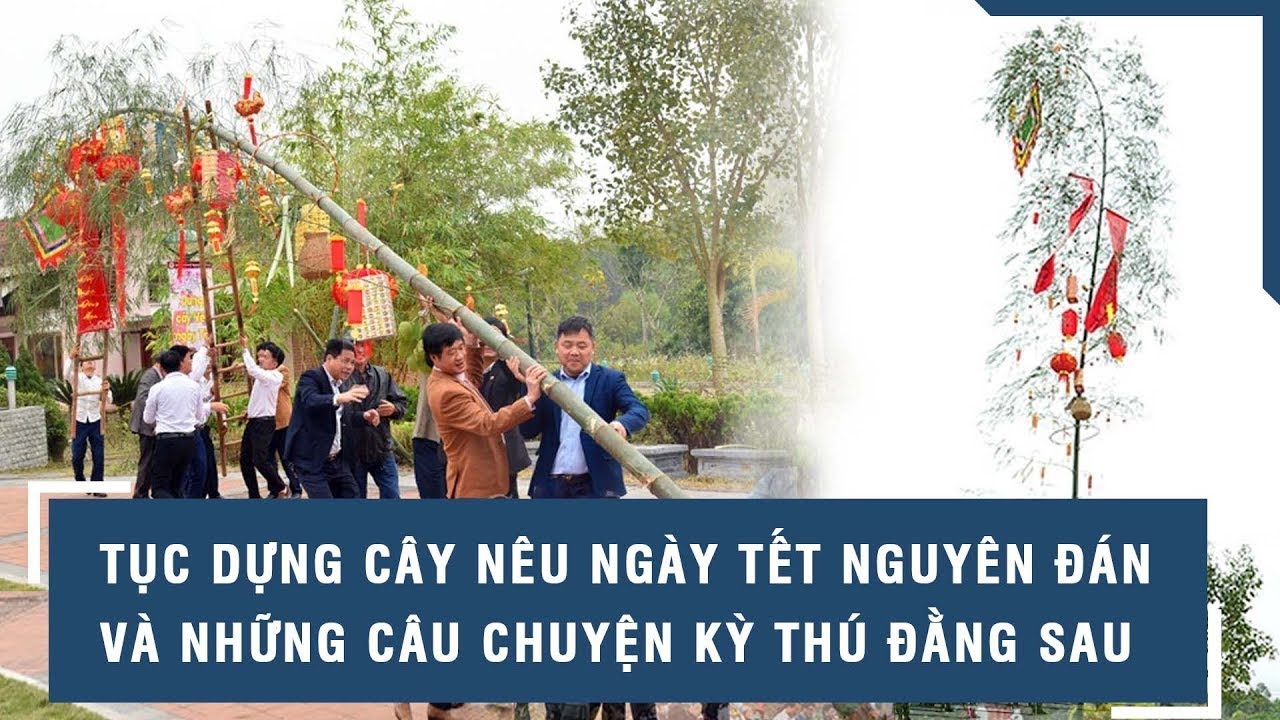 Tục dựng cây Nêu ngày Tết Nguyên đán và những câu chuyện kỳ thú đằng sau
