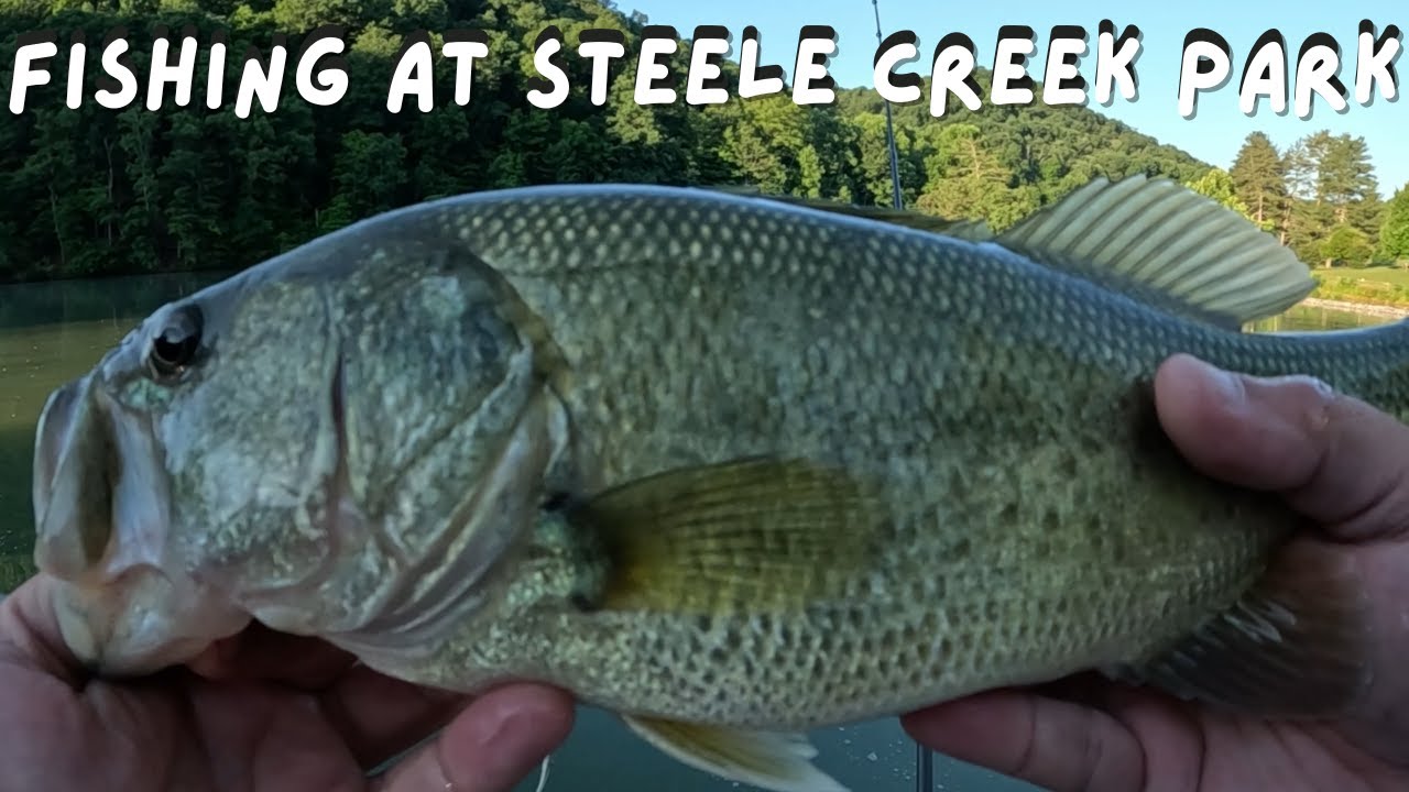 Fishing at Steele Creek Park