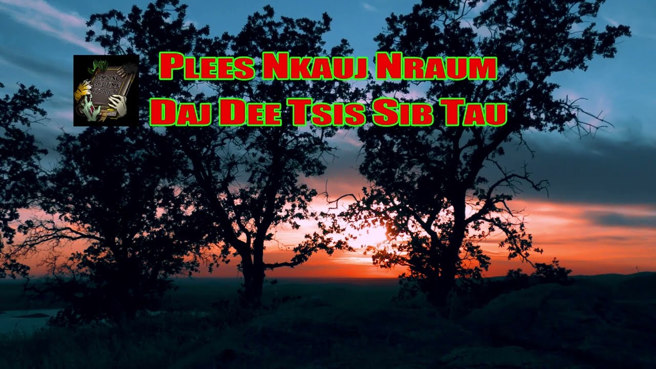 QUB PLEES NKAUJ NRAUM (Sad Love Story)