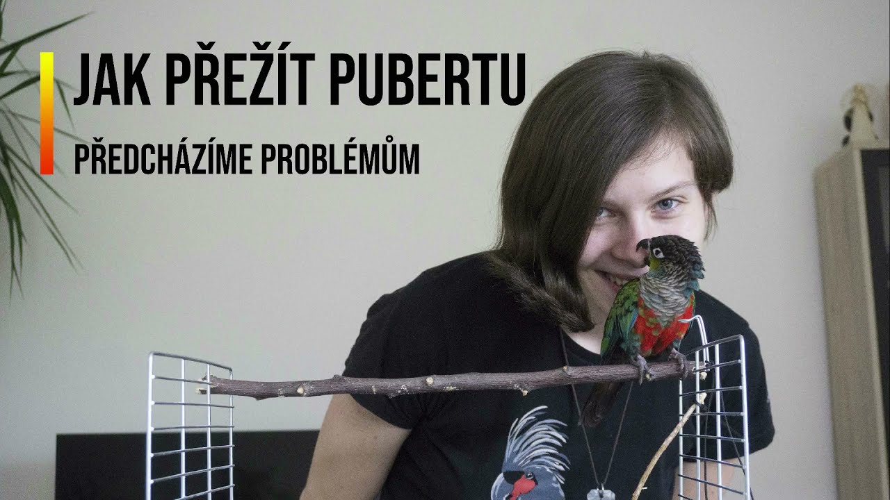 Jak přežít papouščí pubertu, Část 1. | Předcházíme problémům