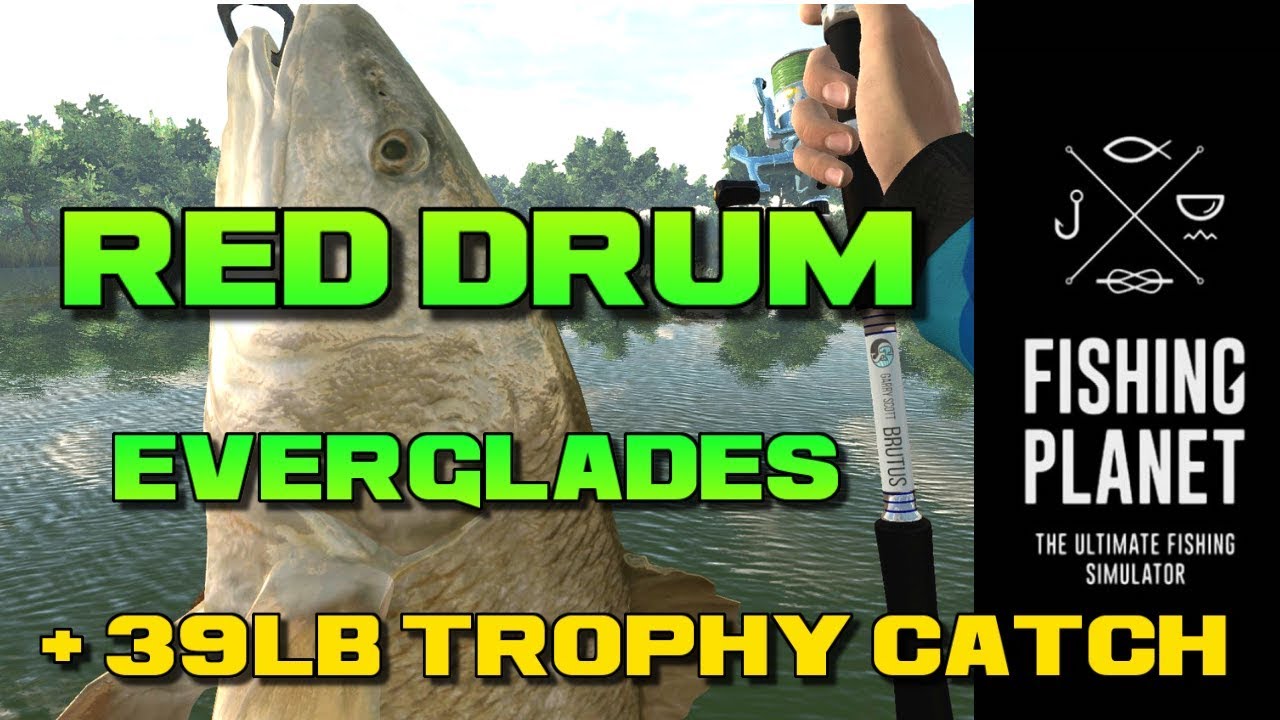 Fishing Planet Everglades Red Drum Includes Trophy Red Drum Catch 39lb
