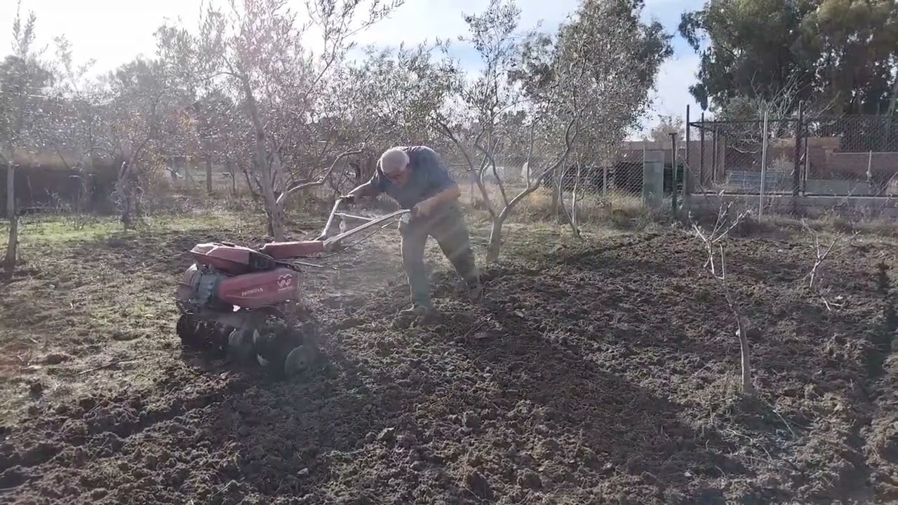Siembra que siembra y verás 