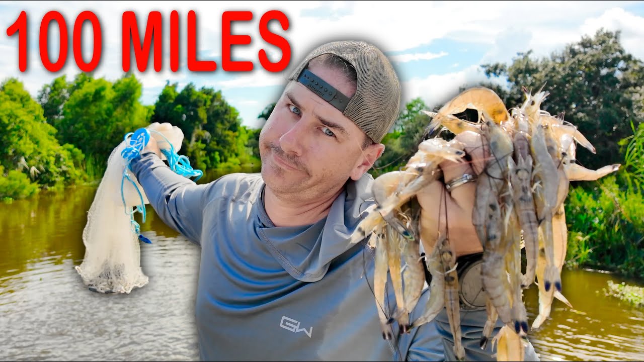 You Won't Believe Where I Caught These Shrimp (After Driving 100 Miles!)