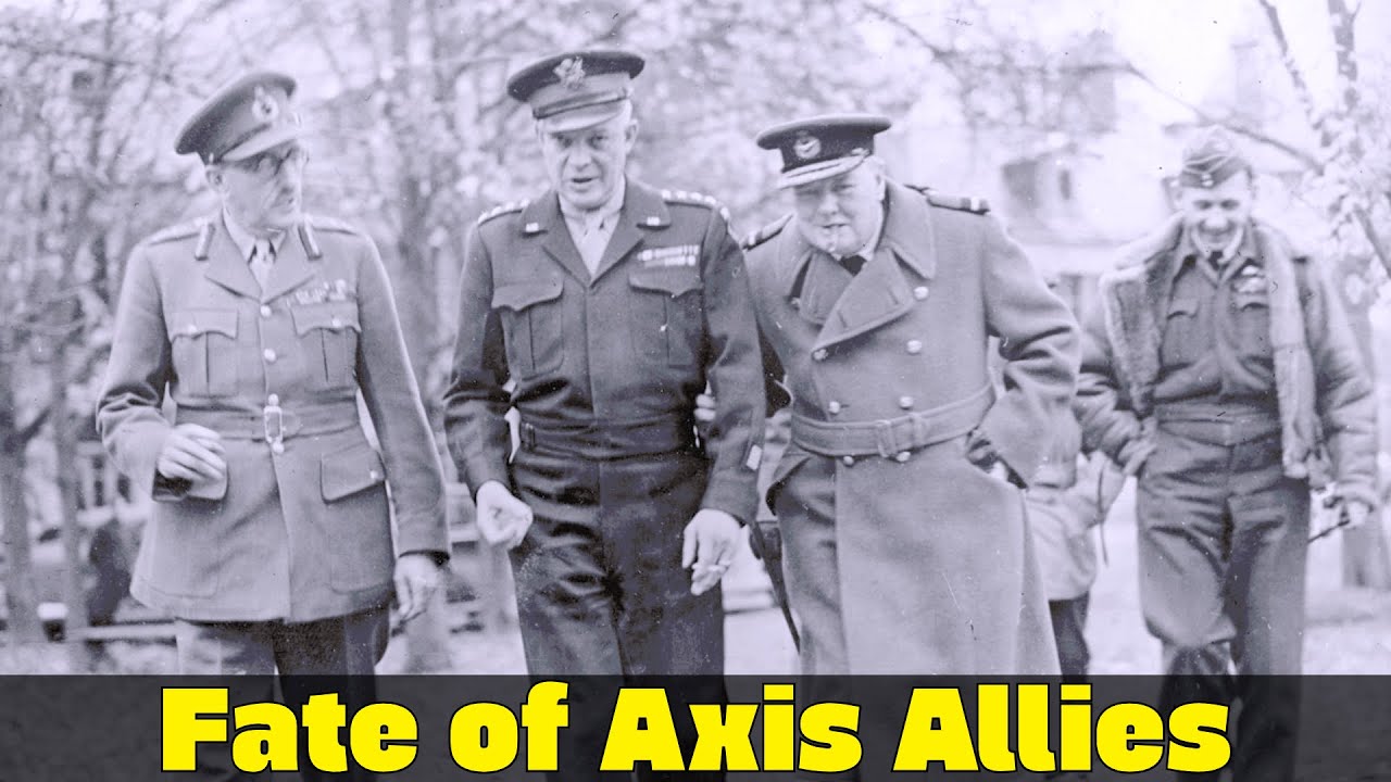 The Fate of Axis Allies | Romanians, Italians, and Hungarians Betrayed on the Front|Eastern FrontWW2