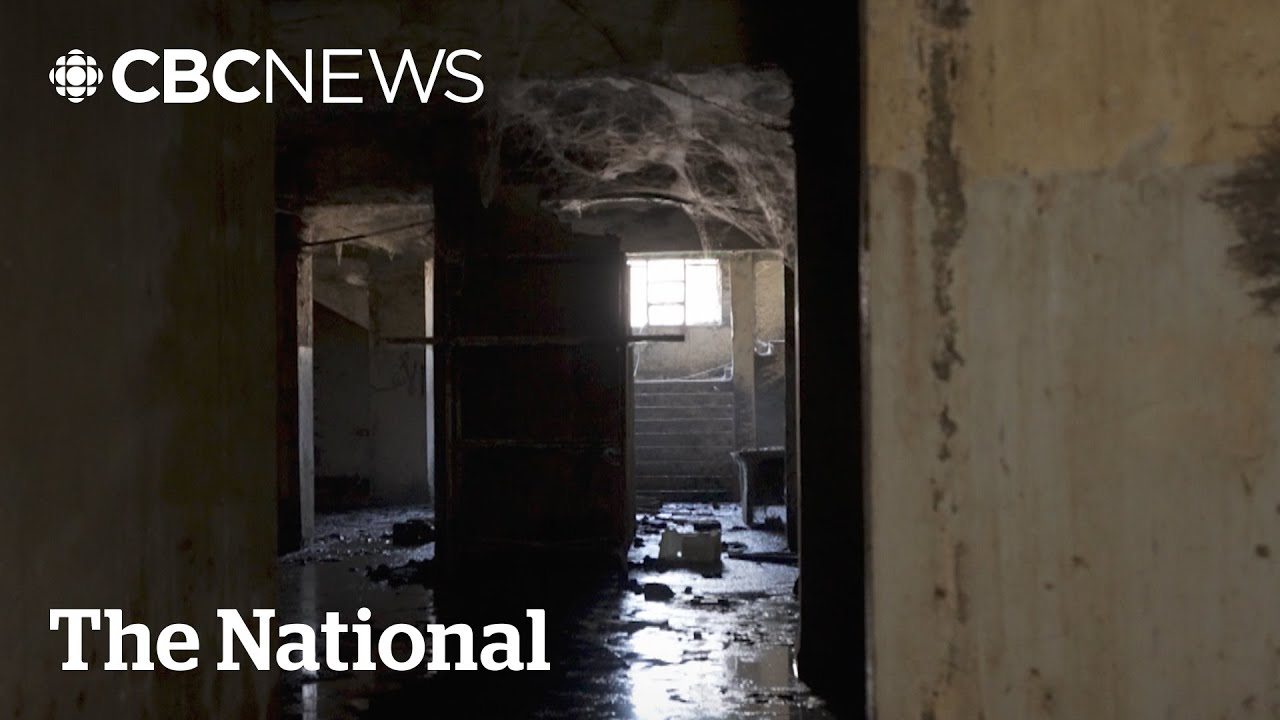 Leaked files show evidence of Assad regime's brutality in Syria