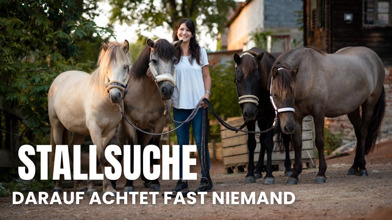 Darauf solltest du bei der Stallsuche WIRKLICH achten
