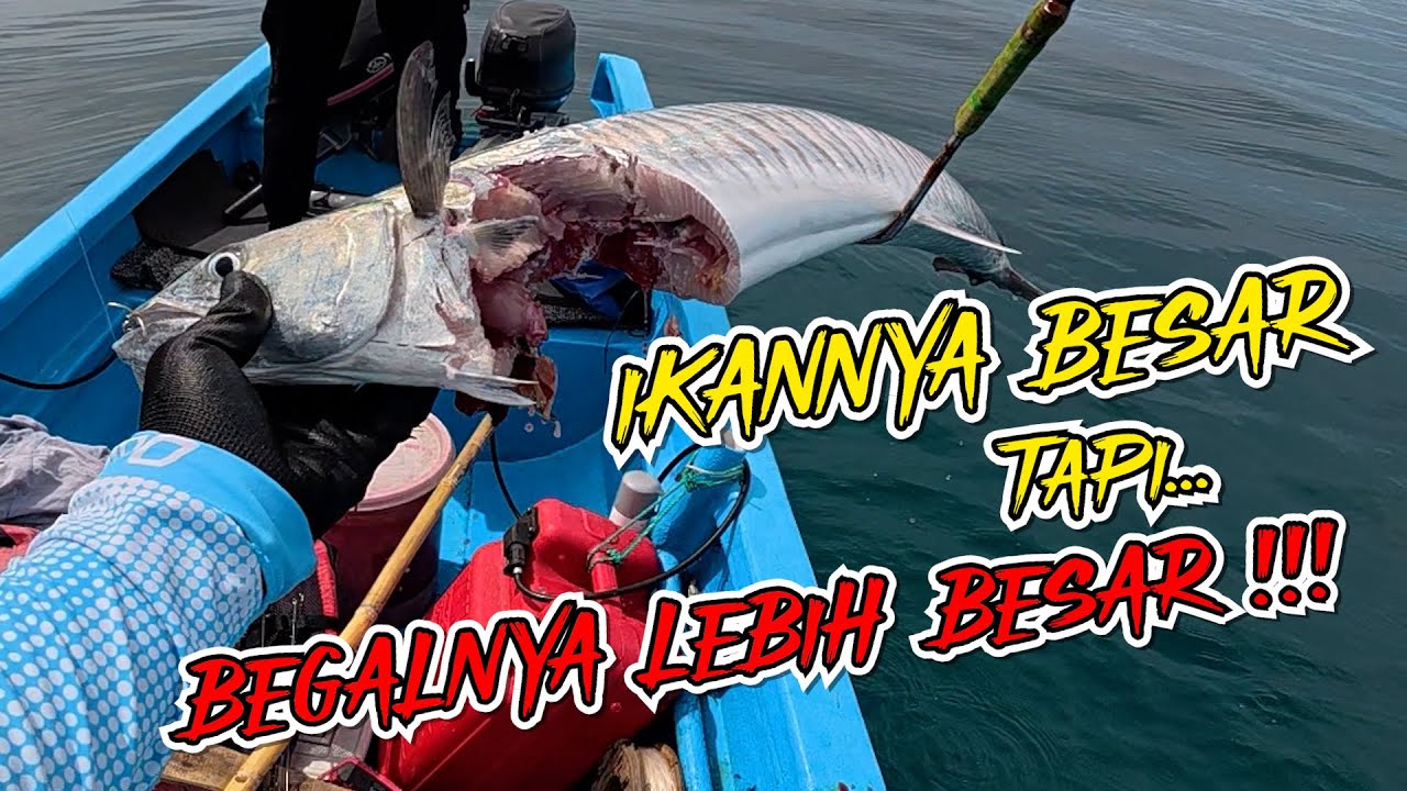 TENGAH MALAM DISERANG BADAI SIANG HARI DISERANG BABON ... SET KITA TERUJI TANGGUH !!!