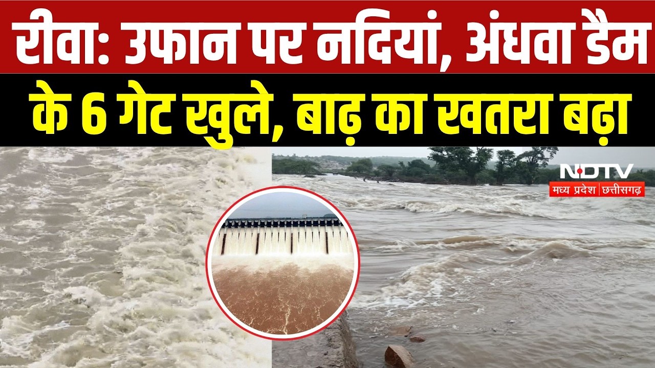 Rewa Flood News: उफान पर नदियां, अंधवा डैम के 6 गेट खुले, बाढ़ का खतरा बढ़ा |  Heavy Rain | IMD | MP