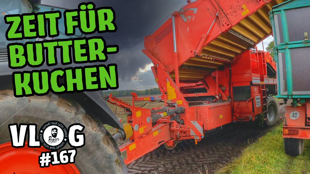 farmVLOG 167: Zeit für Butterkuchen - Die Kartoffeln sind RAUS! 🥧 😍