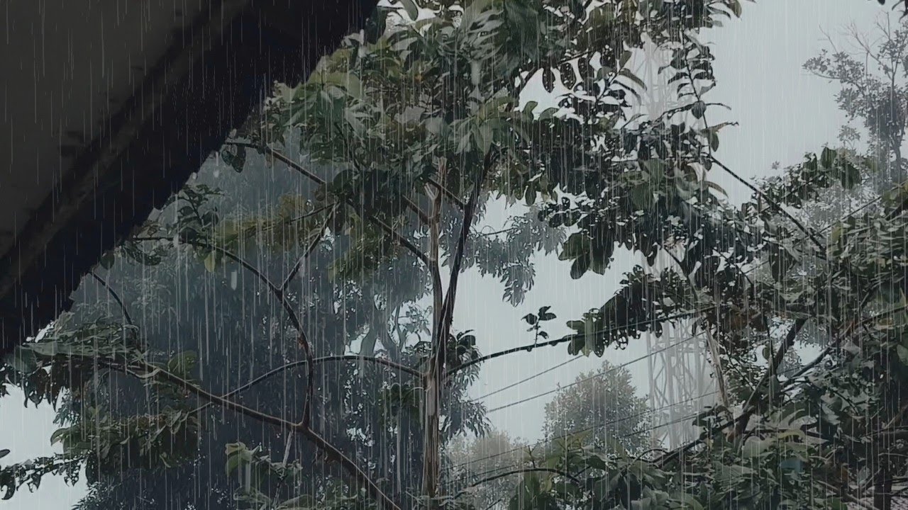 Soothing rain sounds for insomnia relieve | goodbye insomnia