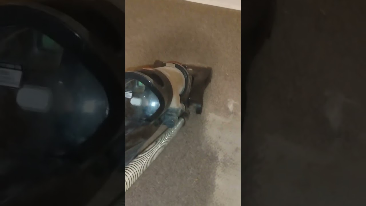 Very first vac video I ever did! Dusty bin dumps, fine dirt spread w/ brush roll clean up 