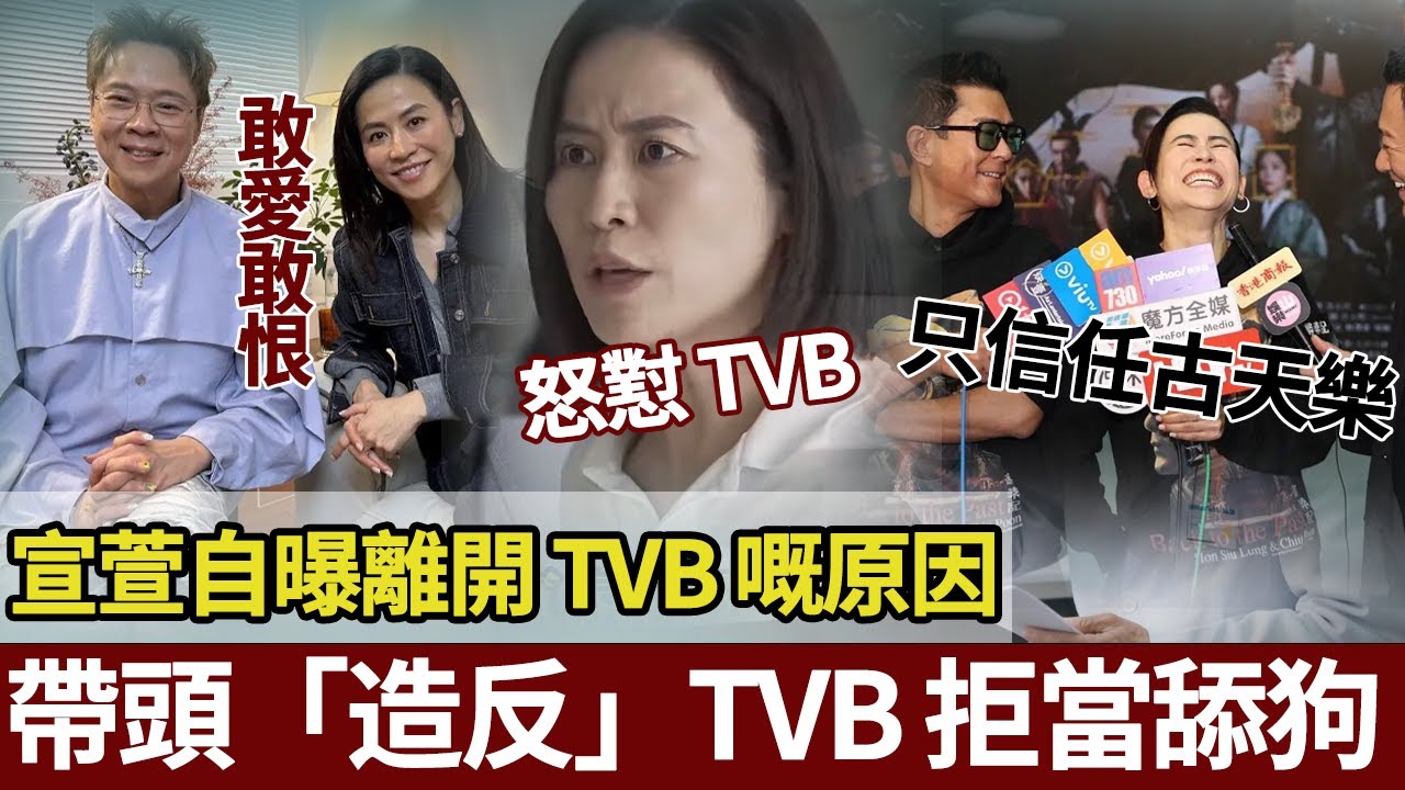 唔係情商低，係骨氣硬！宣萱親揭 TVB 離巢真相：拒絕做「討好型藝人」，寧可唔拍戲都唔取悅唔鍾意嘅人，33年堅守職業操守。【港圈暗室】#宣萱 #古天乐