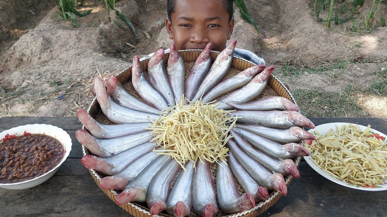 Yummy Fish Cooking Ginger & Soybean Paste / Fried Fish Recipe / Kdeb Cooking