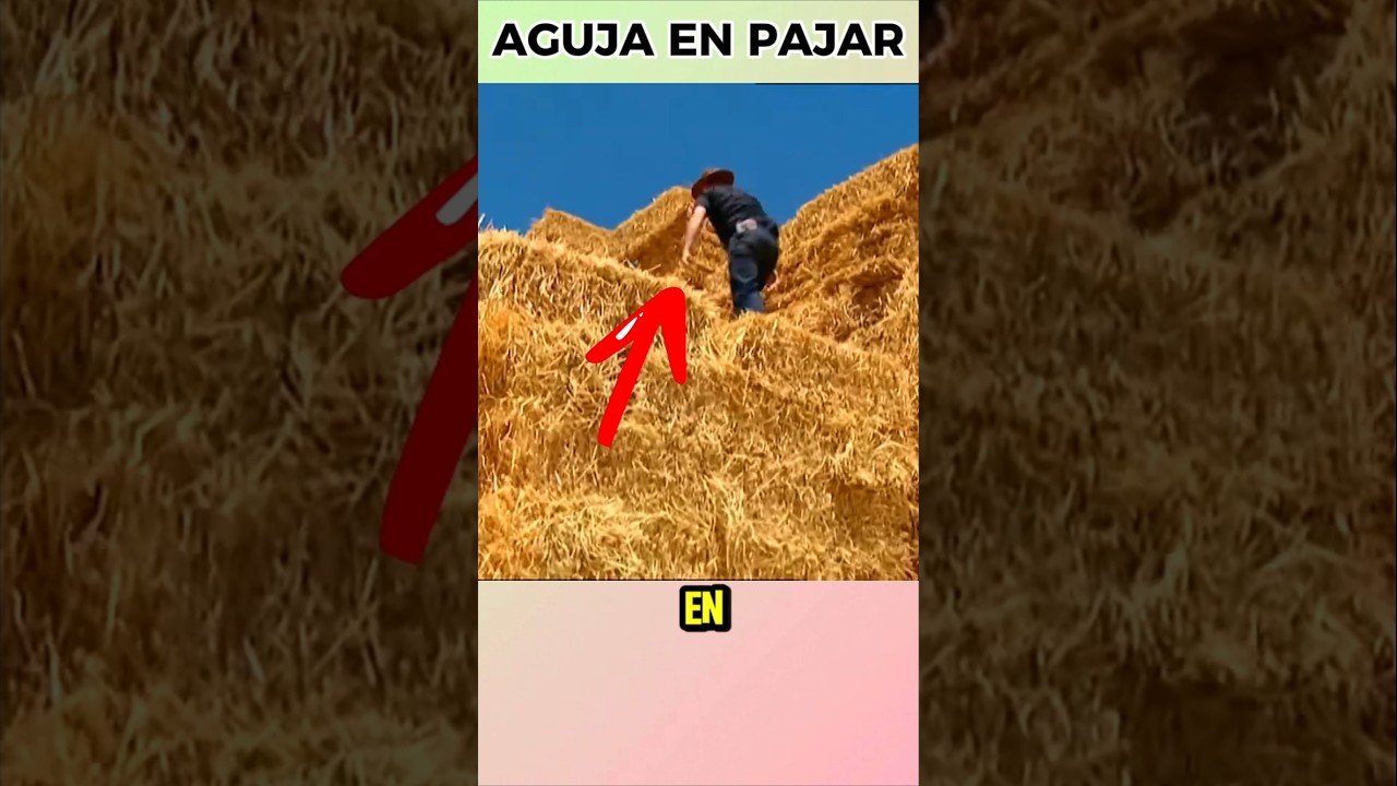 &iquest;Es realmente imposible encontrar una aguja en un pajar?
