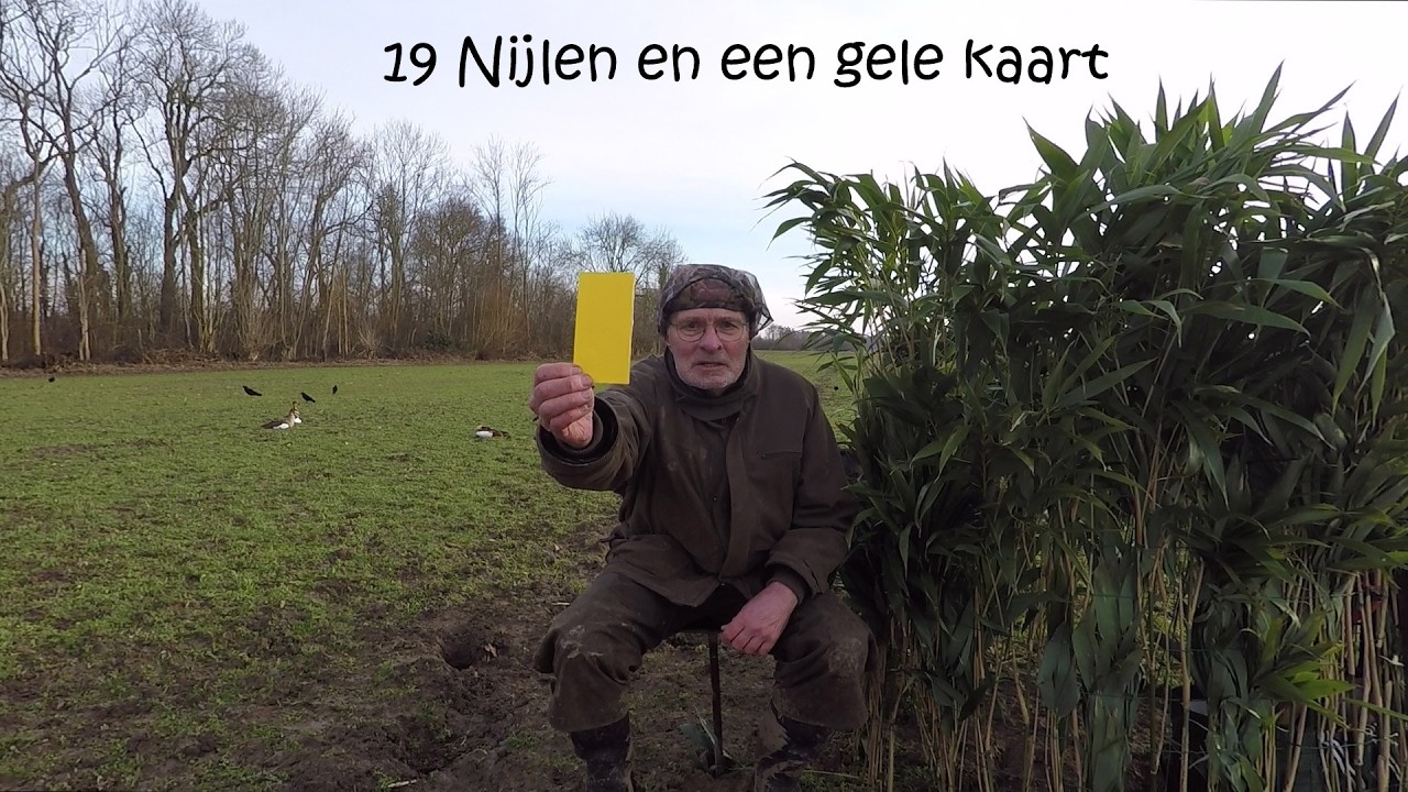 Jagen - 19 Nijlen en een gele kaart.