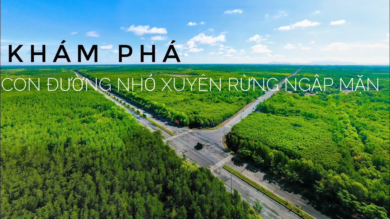 Cần Giờ. Đi bộ khám phá con đường nhỏ xuyên rừng ngập mặn. Phần 1.