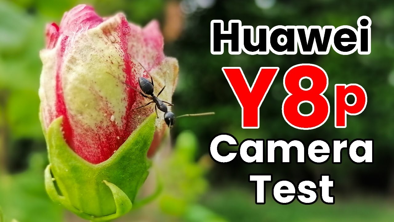 Huawei Y8p Camera Test | Everything about day/night camera performance