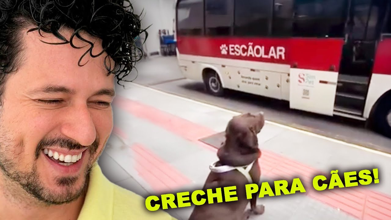 Vídeos pra ver no Banheiro.