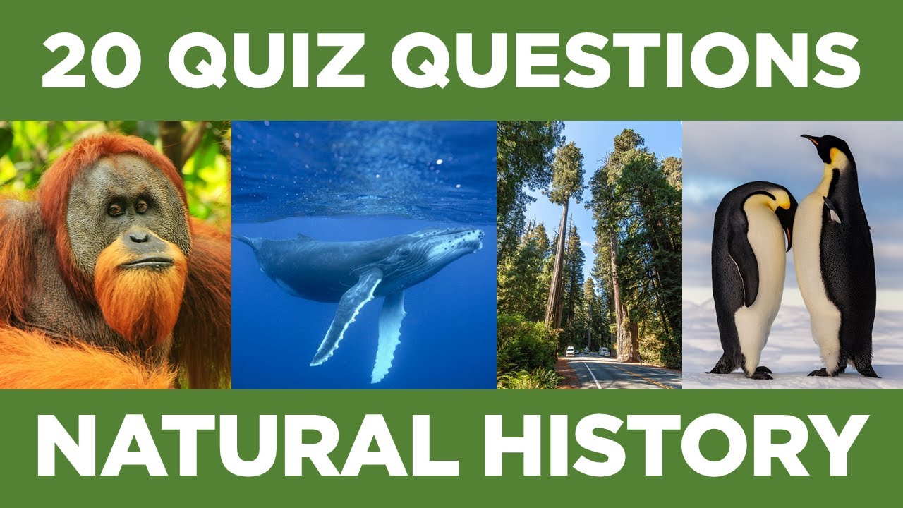 Natural History Quiz | Nature Quiz | Natural World Trivia