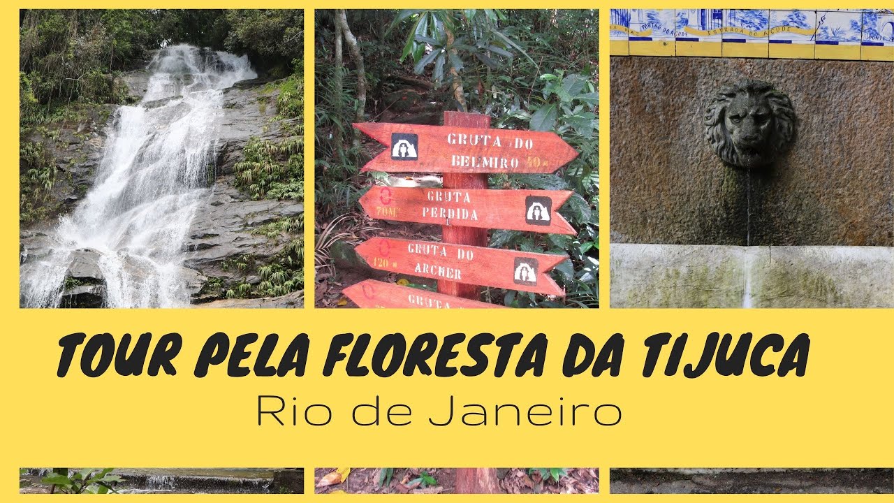 Floresta da Tijuca: O Cora&ccedil;&atilde;o Verde do Rio de Janeiro &ndash; Tour Completo e Dicas!
