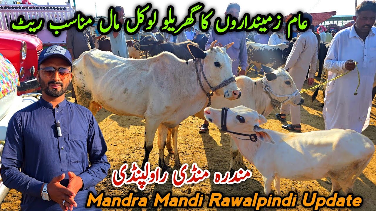Mandra Mandi Rawalpindi Latest Update 20 August 2025 | Local Mall 2026 