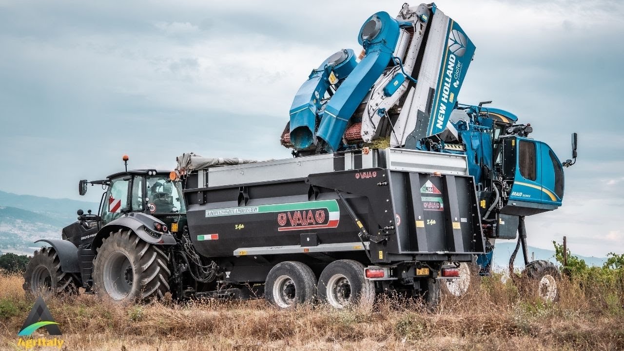 Vendemmia 2021 con New Holland Braud 9090X | Gioter DI Giovagnoli