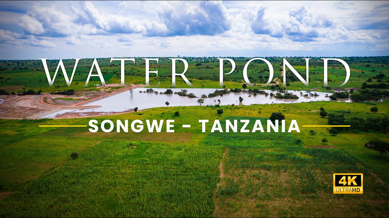 Water Pond in Songwe Region - Tanzania | Drone Shots | dickdon_