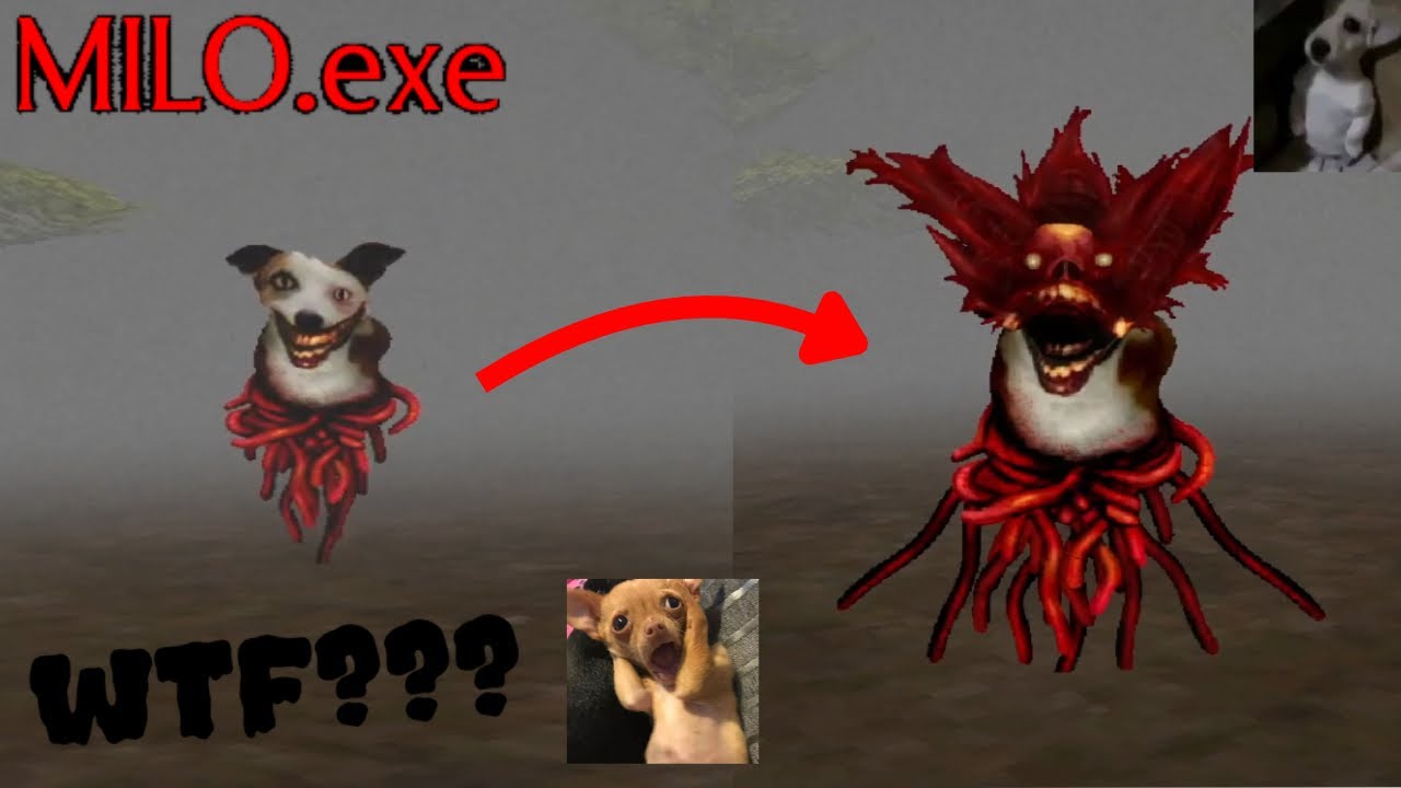 Solo quería encontrar a mi perro :( | milo.exe