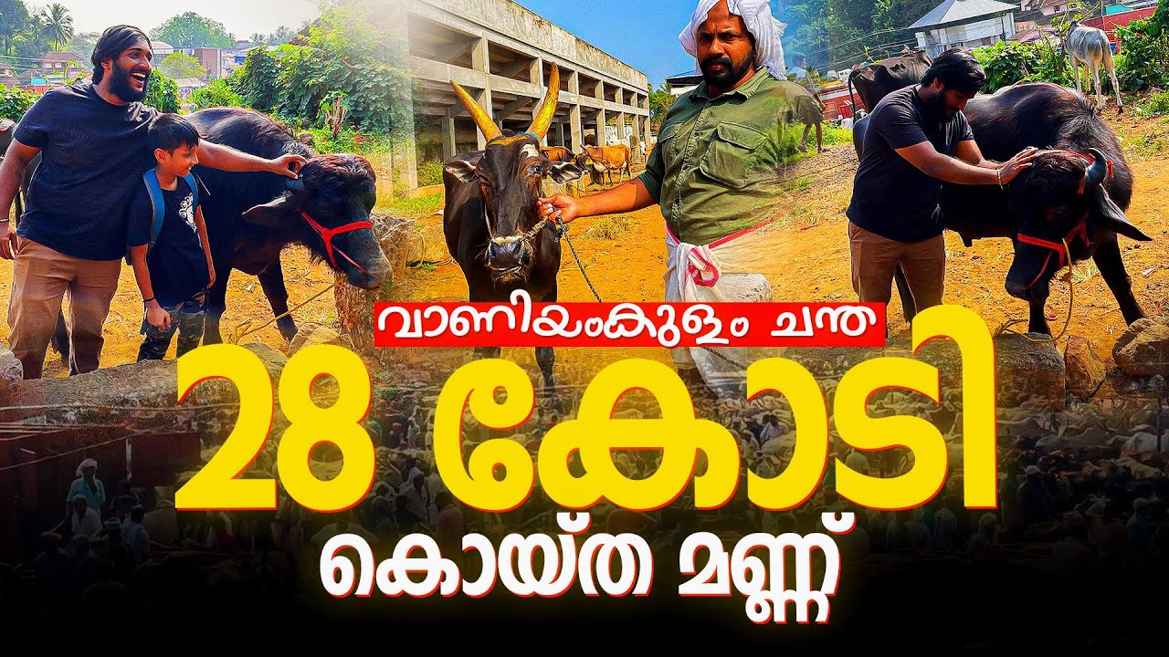 ചന്ത വരെ ഒന്ന് പോയി വന്നാലോ!!![കഴിഞ്ഞ പെരുന്നാളിന് നടന്നത് 28 കോടി രൂപയുടെ കച്ചവടം] Vaniyamkulam