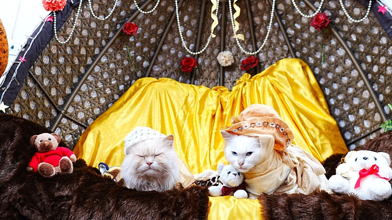 Malik & Mary │ Ramadan Kareem Vibes, Paws & Pure Chaos! 🌙🐾🔥