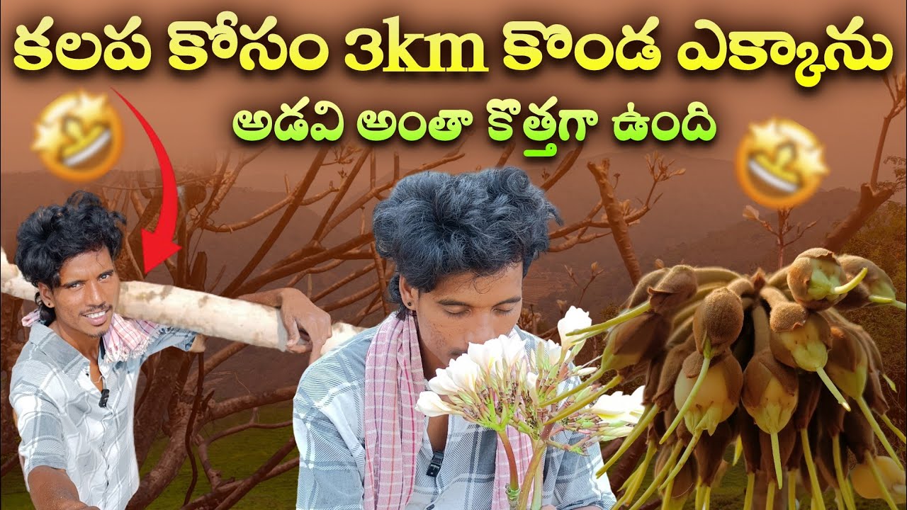 కలప కోసం 3 కిలోమీటర్లు కొండపైకి వెళ్ళాను|Tribal lifestyle in Andhra Pradesh #triballife #villagelife